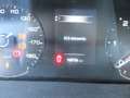 Fiat Ducato MAXI 35 MLH1 3 140 CV CASSSONE CASSONATO Bianco - thumbnail 8