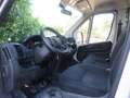Fiat Ducato MAXI 35 MLH1 3 140 CV CASSSONE CASSONATO Bianco - thumbnail 6