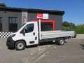 Fiat Ducato MAXI 35 MLH1 3 140 CV CASSSONE CASSONATO Bianco - thumbnail 2