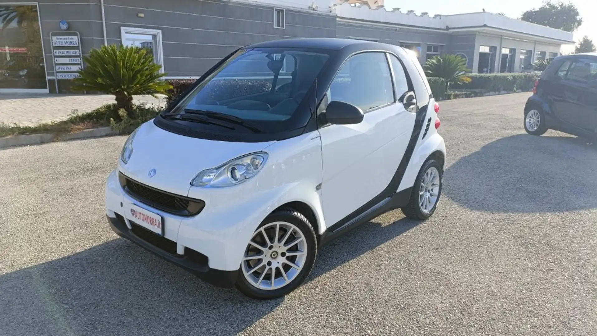 smart forTwo 1000 45 kW MHD Pure n°27 Bianco - 2