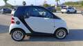 smart forTwo 1000 45 kW MHD Pure n°27 Bianco - thumbnail 8