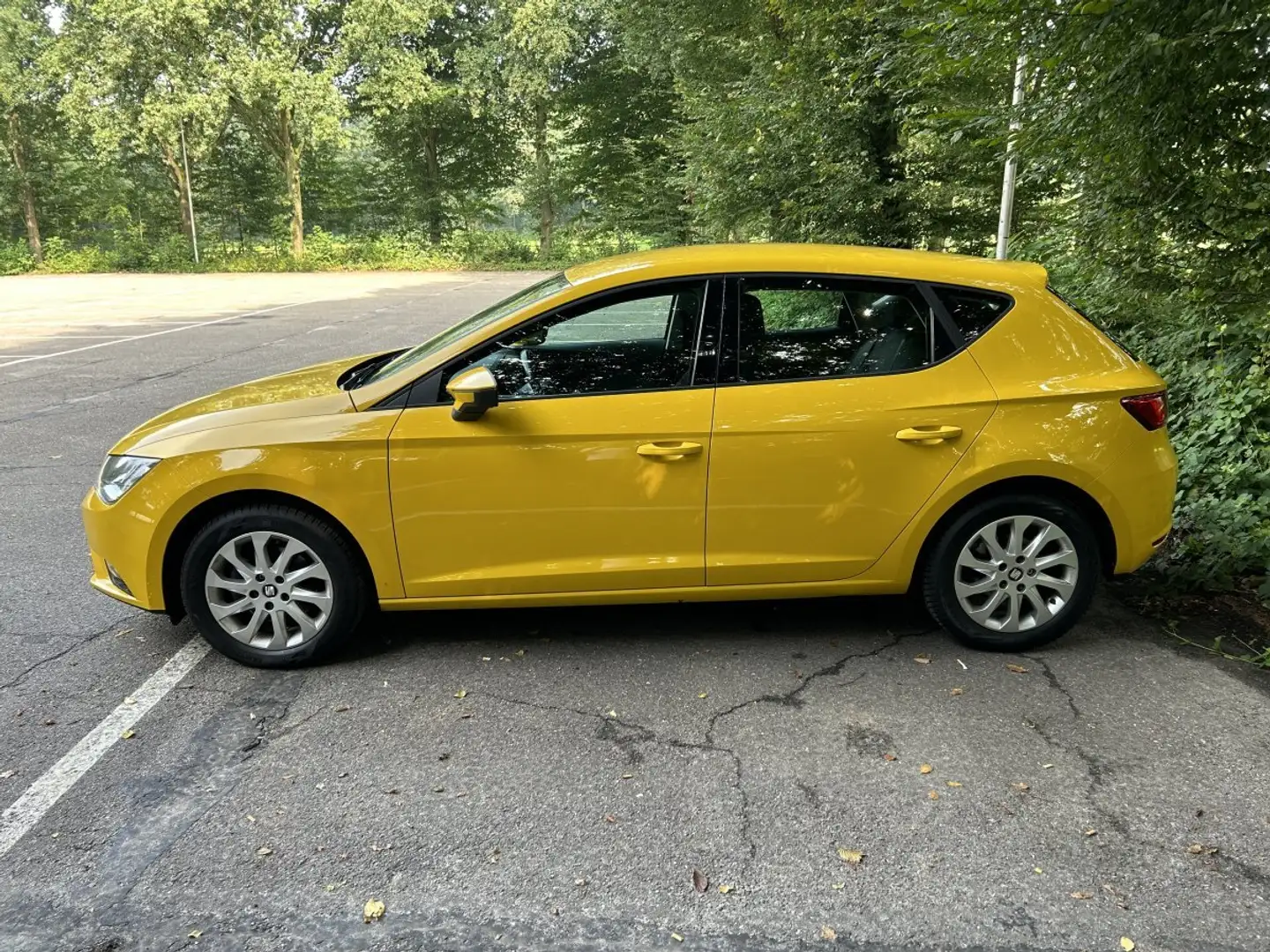 SEAT Leon Leon 1.4 TGI Style Geel - 2