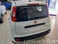 Fiat New Panda 1.0 FireFly S&S Hybrid+5P+PACK CITY KM0 Bianco - thumbnail 4