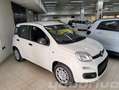 Fiat New Panda 1.0 FireFly S&S Hybrid+5P+PACK CITY KM0 Bianco - thumbnail 2
