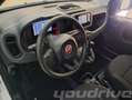 Fiat New Panda 1.0 FireFly S&S Hybrid+5P+PACK CITY KM0 Bianco - thumbnail 10