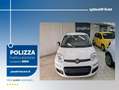 Fiat New Panda 1.0 FireFly S&S Hybrid+5P+PACK CITY KM0 Bianco - thumbnail 1