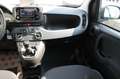 Fiat Panda My25 1.0 70cv FireFly S&S Hybrid *PackCity*5p* Bleu - thumbnail 10
