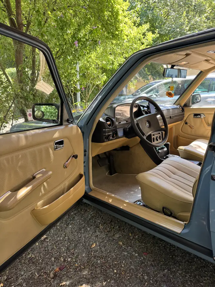 Mercedes-Benz 200 W123 (1981) Chinablau mit H-Kennzeichen, foto 9