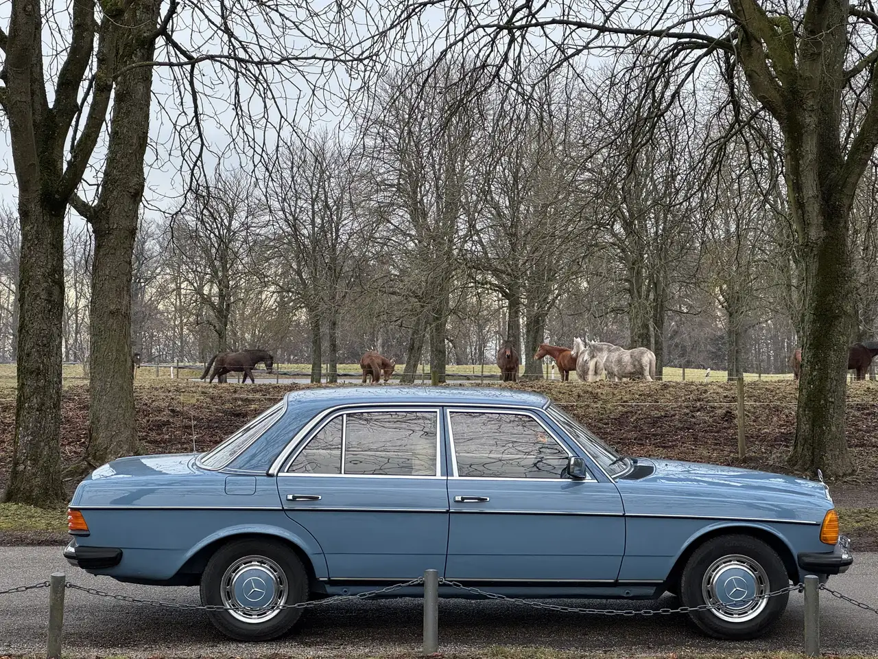 Mercedes-Benz 200 W123 (1981) Chinablau mit H-Kennzeichen, foto 1