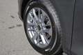 Ford Focus Tur. Titanium X 1,99% Sonderzinsfinanzierung Gris - thumbnail 15