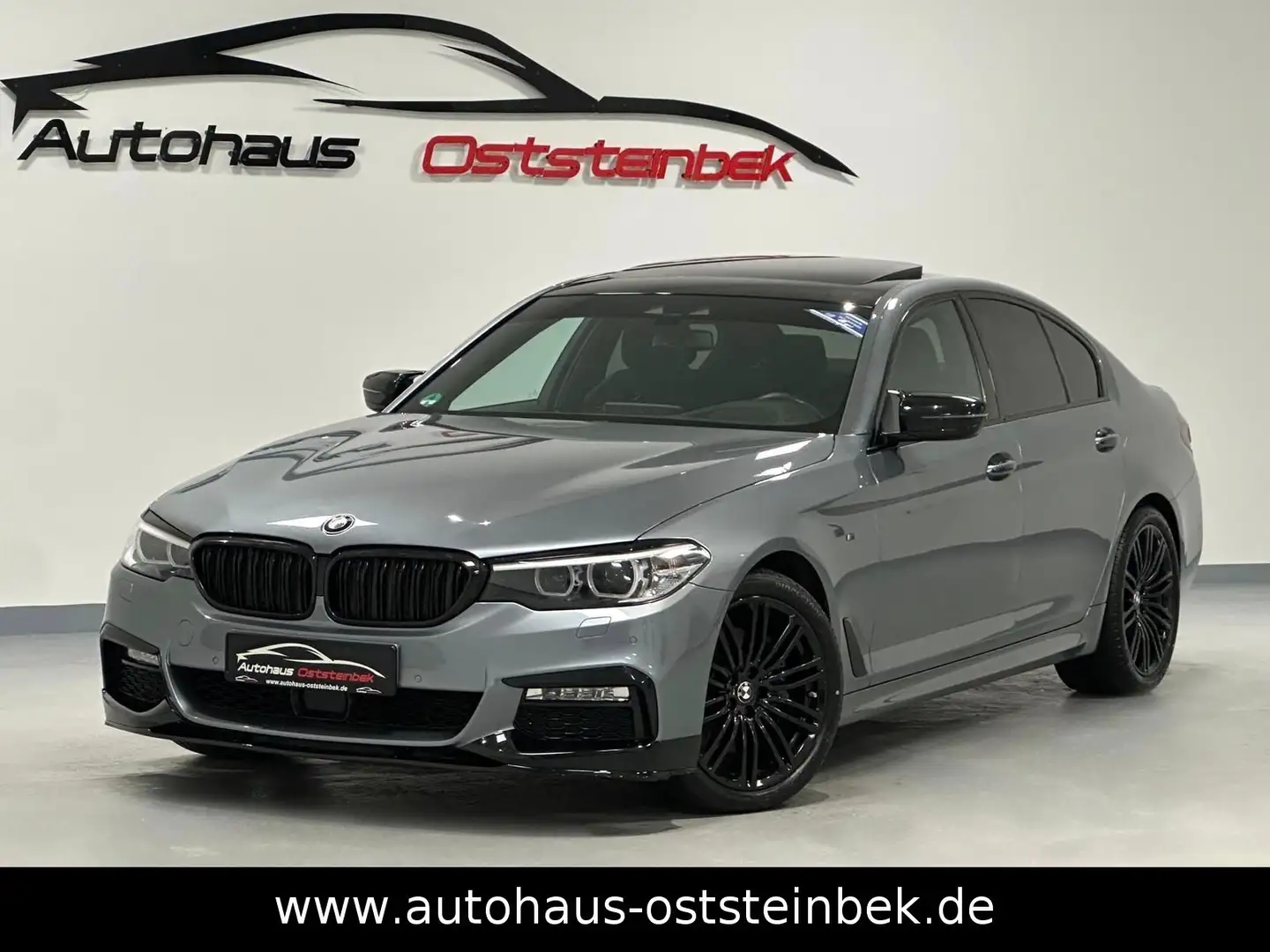 BMW 530 d xDRIVE M-SPORT/ALCANTARA/KAMERA/LED/SHD/ Gris - 1