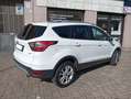 Ford Kuga Kuga 1.5 ecoboost ST-Line Bianco - thumbnail 7