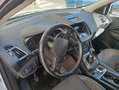 Ford Kuga Kuga 1.5 ecoboost ST-Line Bianco - thumbnail 9