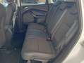 Ford Kuga Kuga 1.5 ecoboost ST-Line Bianco - thumbnail 13