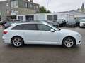 Audi A4 Avant 35 TDI*S-TR*NAVI*LEDER*XENON*ALU*SHZ*BC Blanc - thumbnail 5