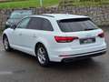 Audi A4 Avant 35 TDI*S-TR*NAVI*LEDER*XENON*ALU*SHZ*BC Blanc - thumbnail 8