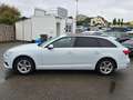 Audi A4 Avant 35 TDI*S-TR*NAVI*LEDER*XENON*ALU*SHZ*BC Blanc - thumbnail 9