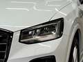 Audi Q2 s-line 35 TFSI Navi RFK AHK SHZ Weiß - thumbnail 7