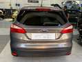Ford Focus Focus Style Wagon 1.6 Titanium Gpl 115cv Beige - thumbnail 5