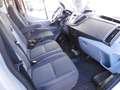 Ford Transit 350 2.0TDCi EcoBlue 130CV L3 Combi - thumbnail 3