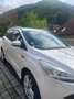 Ford Kuga Kuga 2,0 TDCi Titanium S 4x4 Titanium S Weiß - thumbnail 8