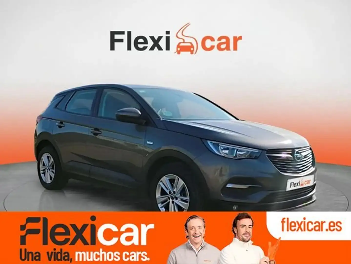 Opel Grandland X 1.6CDTi S&S Business 120 Gris - 1