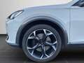 CUPRA Formentor VZ 2.0 TSI 4Drive NAVI SHZ KAMERA ACC Weiß - thumbnail 8