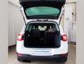 Volkswagen Tiguan Track & Field 4Motion Weiß - thumbnail 5