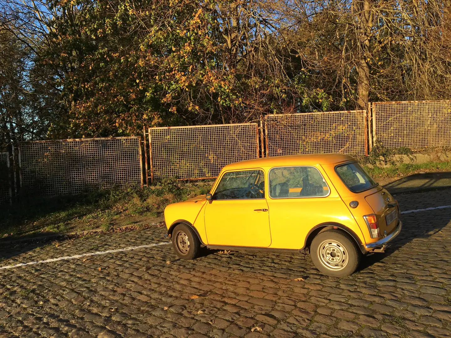 Austin Mini Gelb - 2