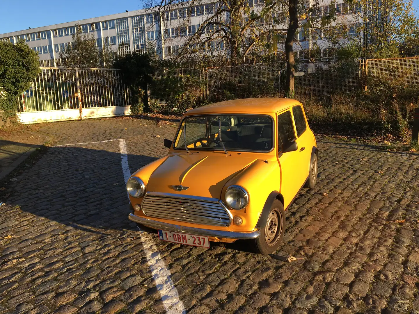 Austin Mini Gelb - 1