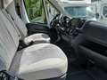 Etrusco Teilintegrierte Fiat 24 T7300SB | Complete Sele... Blanc - thumbnail 10