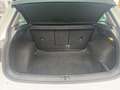 Volkswagen Tiguan 1.5 TSI United Navi Spurhalteassistent Sp Weiß - thumbnail 6