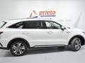 Kia Sorento 1.6 TGDi HEV Plus Edition 4x2 7pl Blanco - thumbnail 38