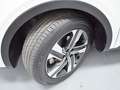 Kia Sorento 1.6 TGDi HEV Plus Edition 4x2 7pl Blanco - thumbnail 48