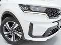 Kia Sorento 1.6 TGDi HEV Plus Edition 4x2 7pl Blanco - thumbnail 49
