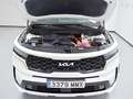 Kia Sorento 1.6 TGDi HEV Plus Edition 4x2 7pl Blanco - thumbnail 45