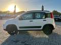 Fiat Panda Panda 0.9 t.air t. 4x4 85 CV - UNIPRO Bianco - thumbnail 4