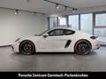 Porsche Cayman GTS 4.0 LenkradHZG Sportsitze Rückfahrkam. Weiß - thumbnail 2