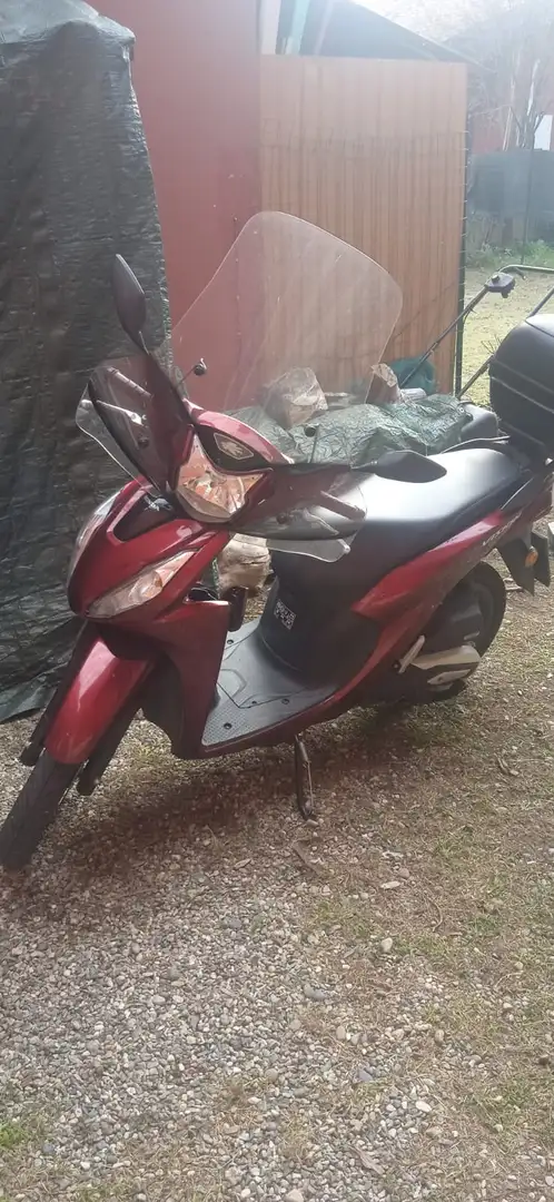 Honda Vision 110 Red - 1
