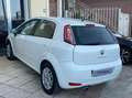Fiat Punto 1.3 mjt II 16v 75cv Lounge 5p my13 Bianco - thumbnail 8