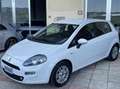 Fiat Punto 1.3 mjt II 16v 75cv Lounge 5p my13 Bianco - thumbnail 3