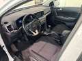 Kia Sportage Blanco - thumbnail 8