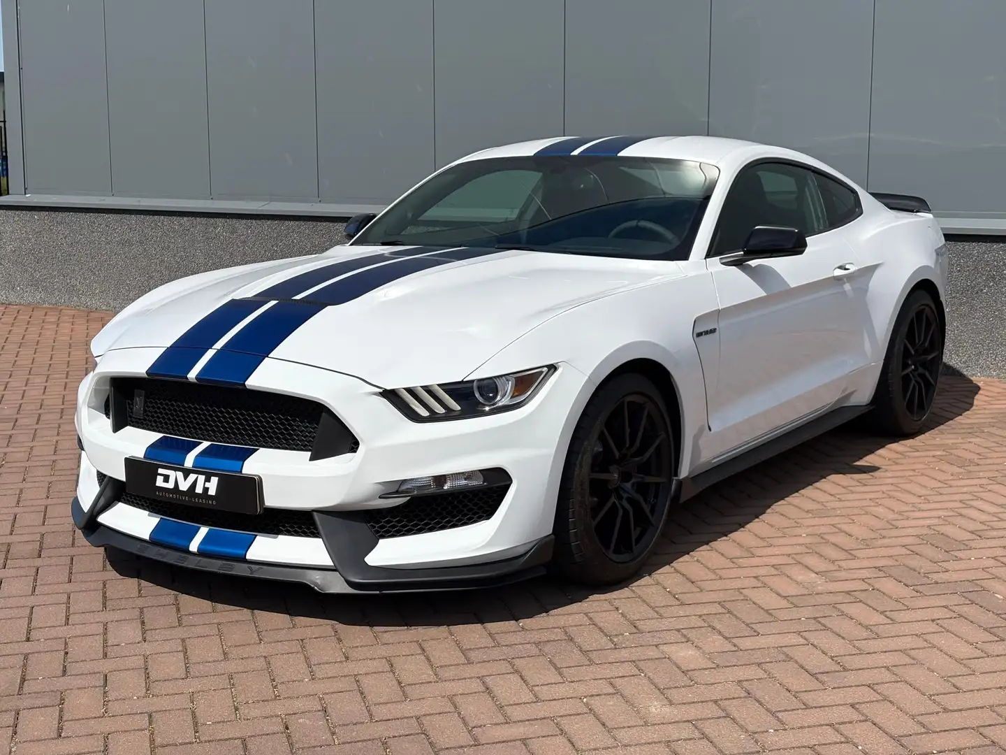 Ford Mustang Ford Shelby GT350 Grey - 2