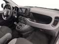 Fiat New Panda 1.0 FireFly Hybrid City Life Grau - thumbnail 23