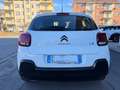 Citroen C3 C3 PureTech 83 S&S You Bianco - thumbnail 8