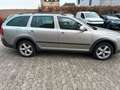 Skoda Octavia Combi Scout 4X4 Beige - thumbnail 5