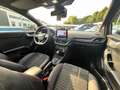 Ford Puma Hybrid ST-Line X, B&O, LED, AHK, PANO Grau - thumbnail 21