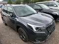 Subaru Forester Forester 2.0ie PLATINUM=PREMIUM+*Edition Black* Gris - thumbnail 3