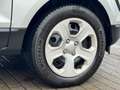 Ford EcoSport 1.0 Trend*Klima*PDC*Temp*Szhz*TÜV NEU* Silber - thumbnail 10