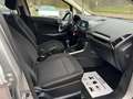 Ford EcoSport 1.0 Trend*Klima*PDC*Temp*Szhz*TÜV NEU* Silber - thumbnail 15